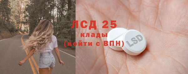 ECSTASY Алзамай