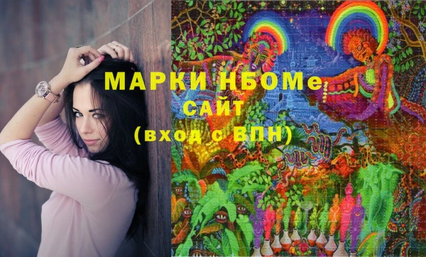 дурь Новодвинск