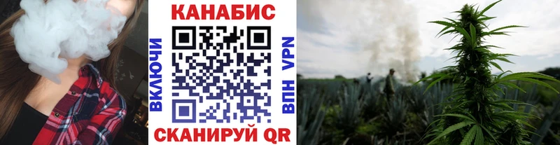 Марихуана планчик  Северская 